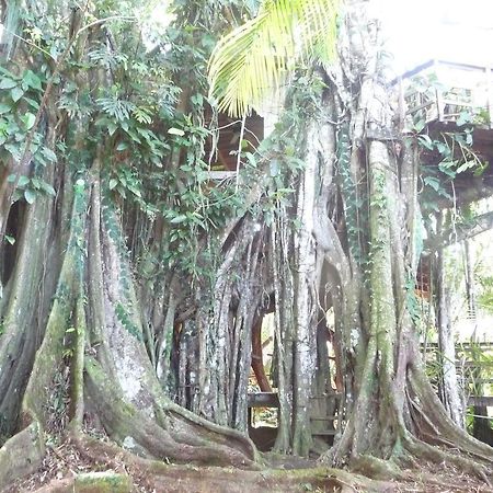 Topos Tree House Кахуіта Екстер'єр фото