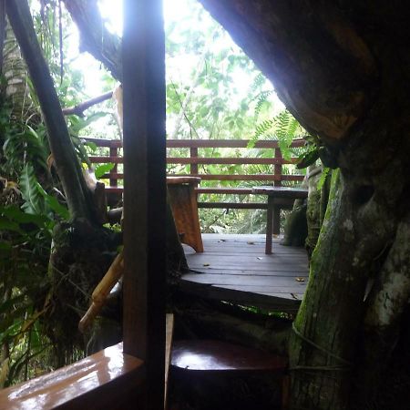 Topos Tree House Кахуіта Екстер'єр фото