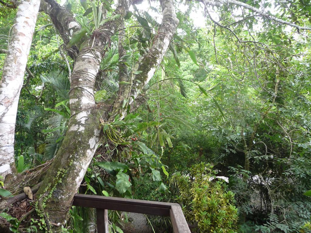 Topos Tree House Кахуіта Екстер'єр фото