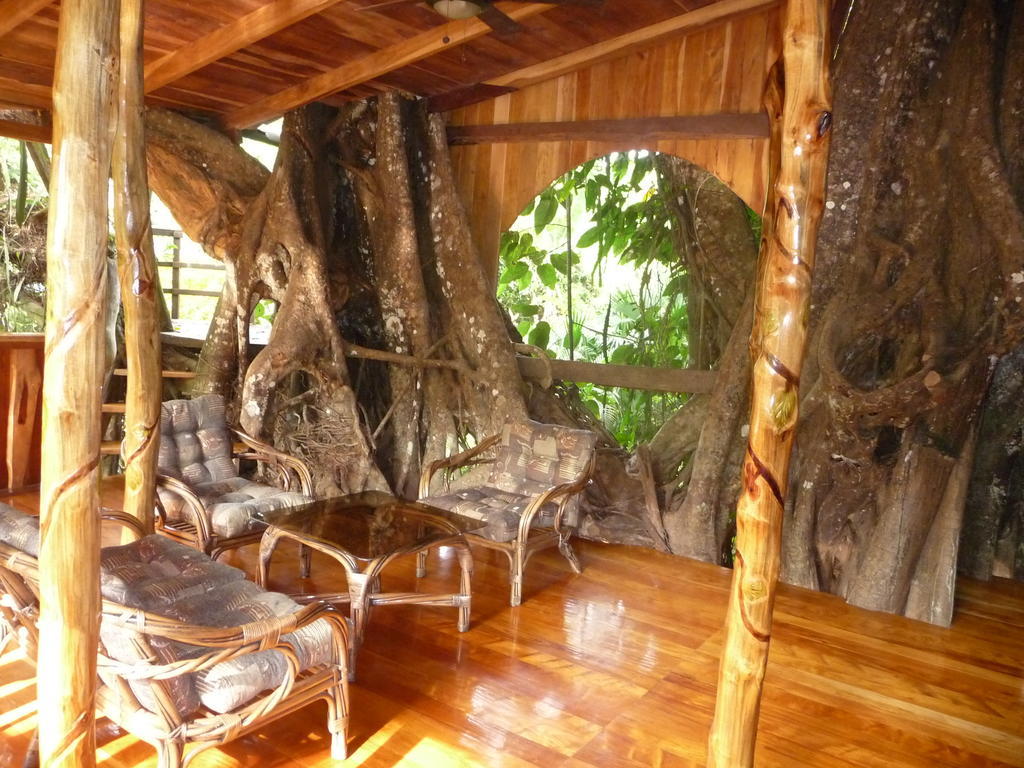 Topos Tree House Кахуіта Екстер'єр фото