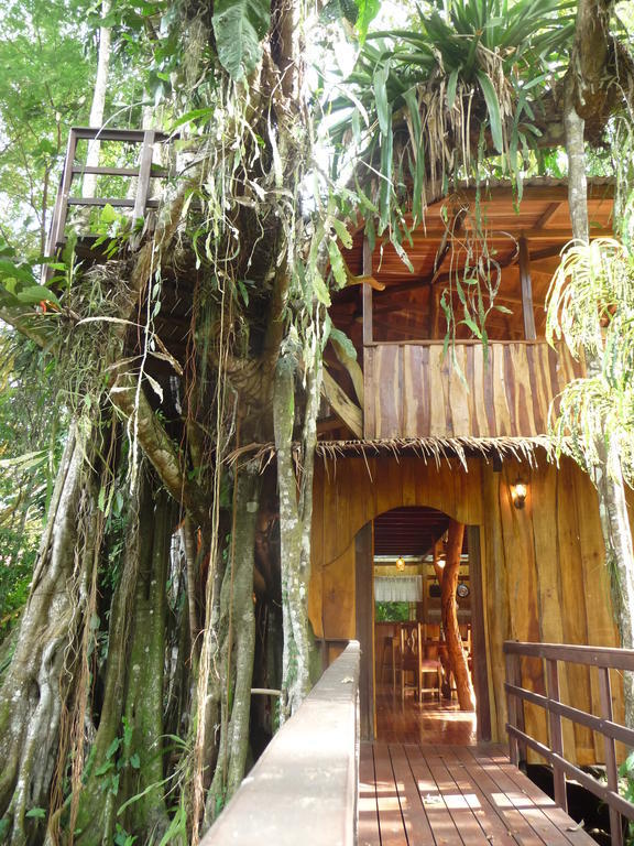 Topos Tree House Кахуіта Номер фото