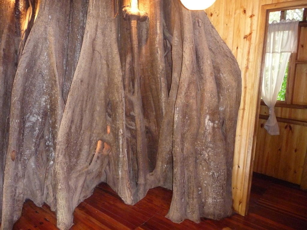 Topos Tree House Кахуіта Екстер'єр фото