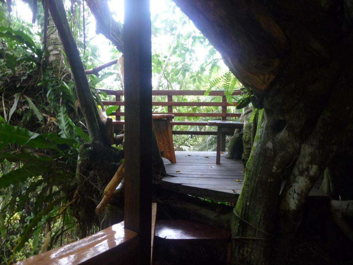 Topos Tree House Кахуіта Екстер'єр фото